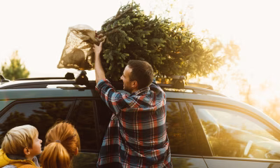 Christmas trees: Expert tips on how to keep your tree fresh for longer