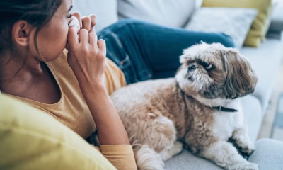 Nasal irrigation: How to shorten your cold by days – without medication