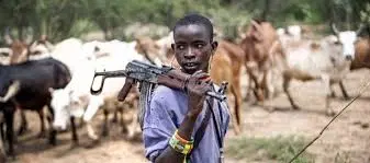 Four killed, women captured, tortured, another missing in fresh herders’ attacks on Benue communities