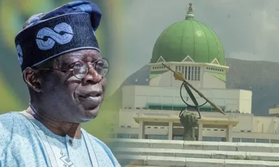 Police orderly withdrawal: Senators kick, Tinubu insists