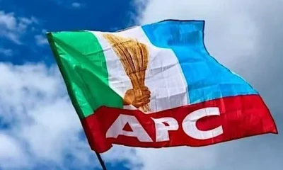 APC Condemns Assault By Gombe Governor’s Aide On Councillor
