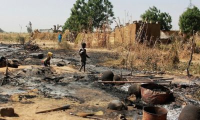 Legal luminaries challenge efficacy of appointment as insecurity worsens – Tribune Online