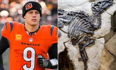 Joe Burrow Gave Bengals Teammates Dinosaur, Bear and Mammoth Fossils for Christmas