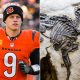 Joe Burrow Gave Bengals Teammates Dinosaur, Bear and Mammoth Fossils for Christmas