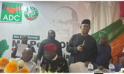 Labour Party ‘Liberated’ By Peter Obi’s Defection, Says Spokesman Ifoh