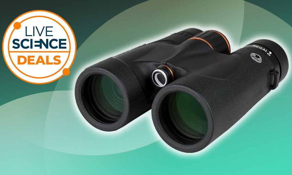 These incredible birdwatching binoculars are at their lowest price just in time for Christmas