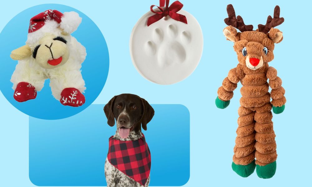 Petsmart Has Christmas Gifts for Dogs Starting at 