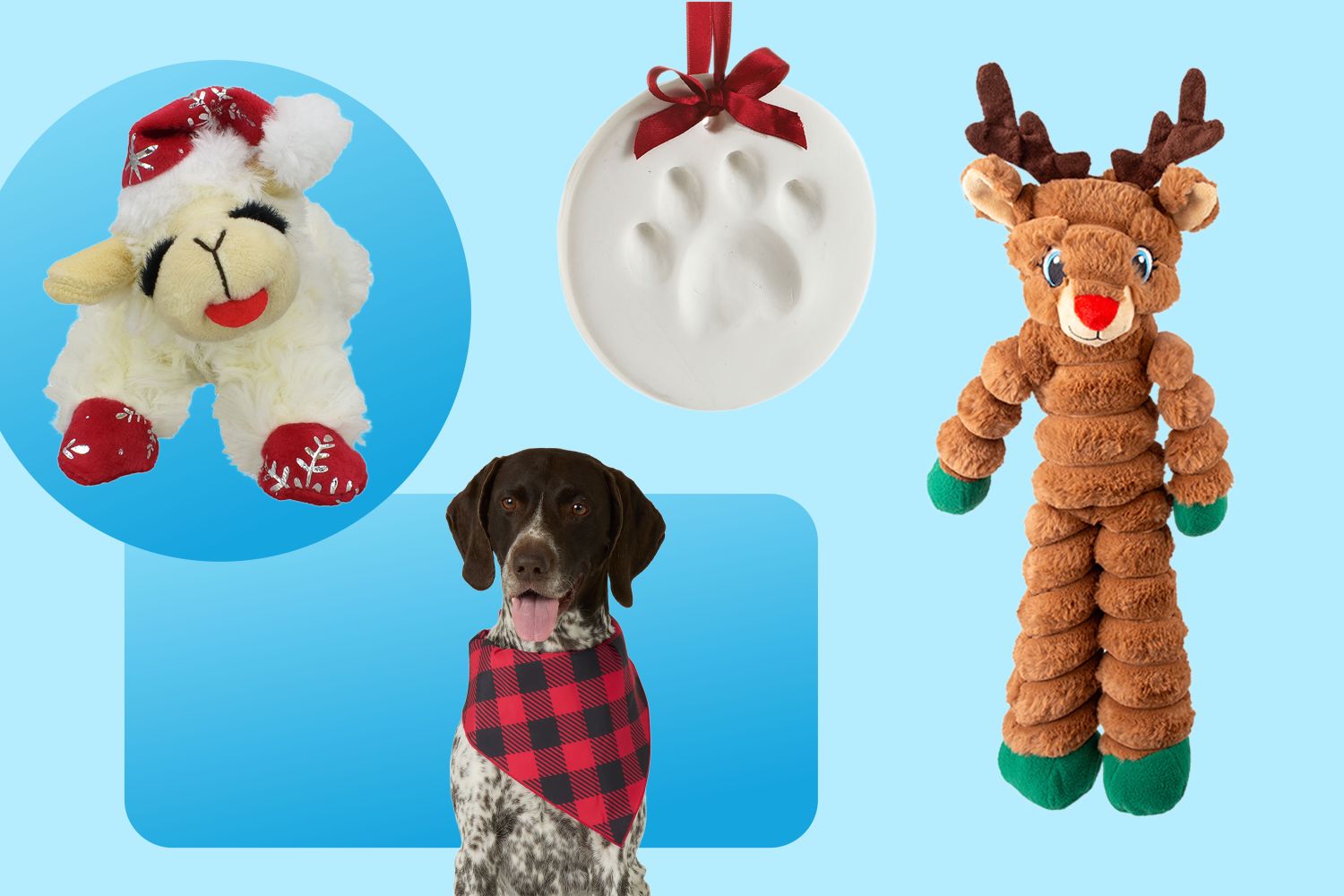 Petsmart Has Christmas Gifts for Dogs Starting at 