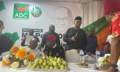 Peter Obi, South-East Senators, Others Join ADC In Enugu