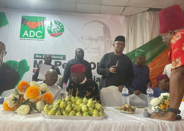 “He will lose Obidients” – Delta governor’s aide reacts to Peter Obi’s defection to ADC
