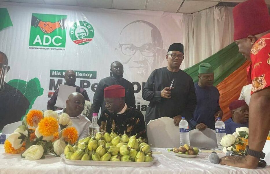 Peter Obi, South-East Senators, Others Join ADC In Enugu