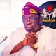 Gazette furore: Tinubu can’t stop tax law, says Oyedele; lawyers disagree