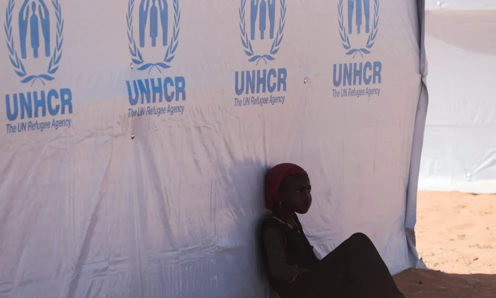 Sweden’s push for an ex-IKEA CEO to lead UNHCR signals a new refugee order | Refugees