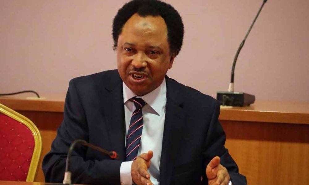 Shehu Sani Laments Voters’ Hunger for Cash Despite Anti–Vote-Buying Sermons