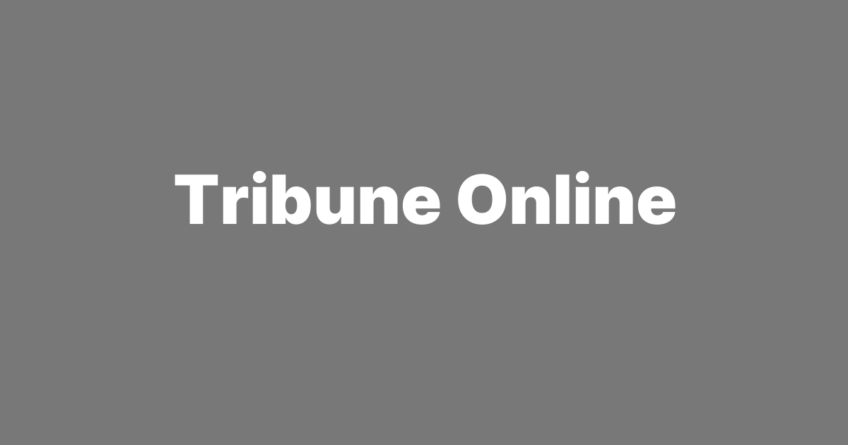 Coup, terrorism threaten West Africa’s democratic future — UN, AU warn – Tribune Online
