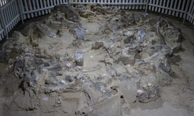 18,000 years ago, ice age humans built dwellings out of mammoth bones in Ukraine