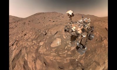 ‘Stop and re-check everything’: Scientists discover 26 new bacterial species in NASA’s cleanrooms