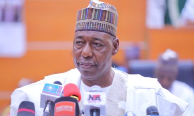 Borno PDP Federal Lawmaker, Balami Lauds Zulum’s Developmental Strides